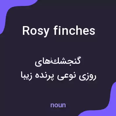 معنی rosy finches به فارسی