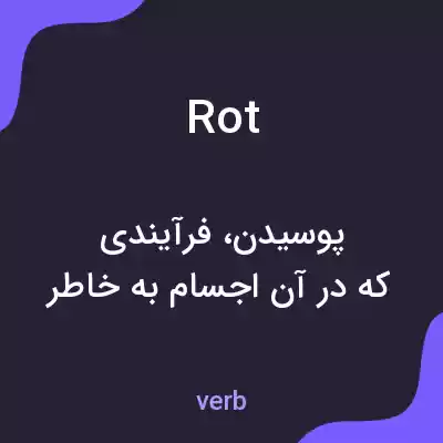معنی rot به فارسی