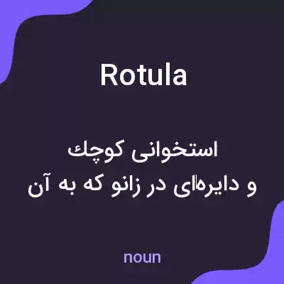 معنی rotula به فارسی معنی rotula به فارسی