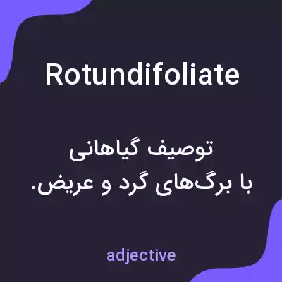 معنی rotundifoliate به فارسی معنی rotundifoliate به فارسی