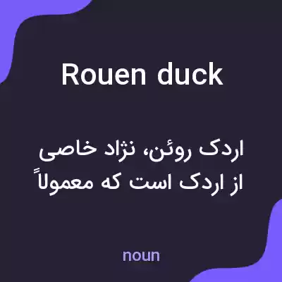 معنی rouen duck به فارسی