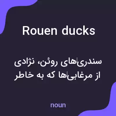 معنی rouen ducks به فارسی معنی rouen ducks به فارسی