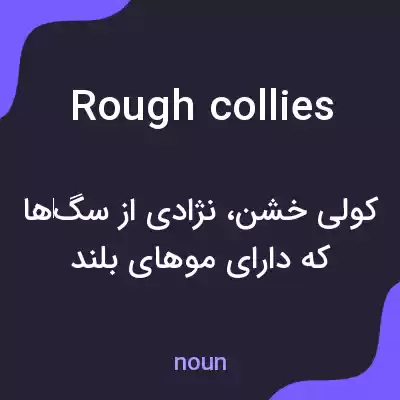 معنی rough collies به فارسی معنی rough collies به فارسی