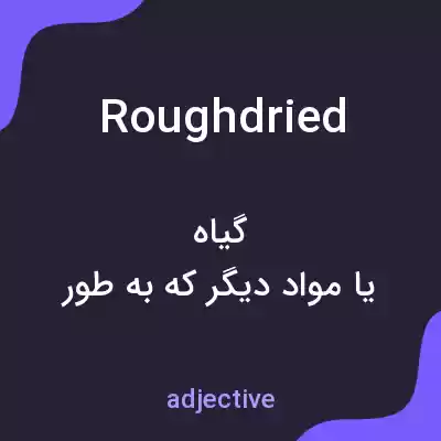 معنی roughdried به فارسی معنی roughdried به فارسی
