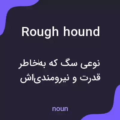 معنی rough hound به فارسی معنی rough hound به فارسی