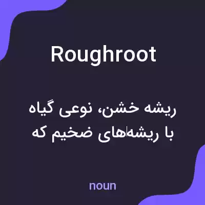 معنی roughroot به فارسی معنی roughroot به فارسی