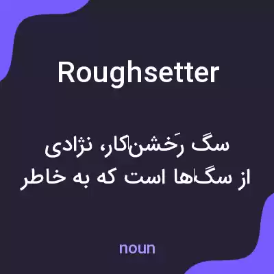 معنی roughsetter به فارسی معنی roughsetter به فارسی