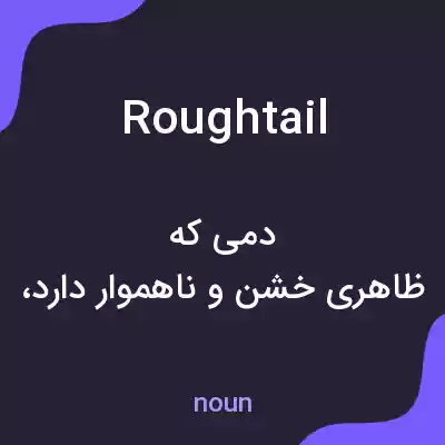 معنی roughtail به فارسی معنی roughtail به فارسی