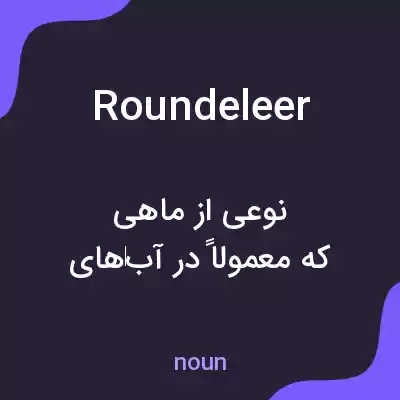 معنی roundeleer به فارسی معنی roundeleer به فارسی