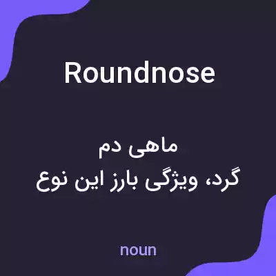 معنی roundnose به فارسی معنی roundnose به فارسی