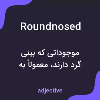 معنی roundnosed به فارسی معنی roundnosed به فارسی