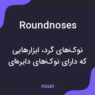 معنی roundnoses به فارسی معنی roundnoses به فارسی