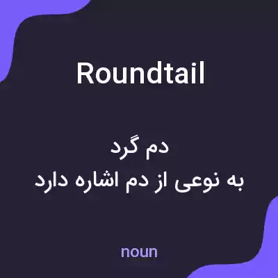 معنی roundtail به فارسی معنی roundtail به فارسی