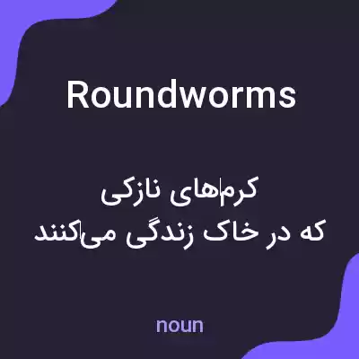معنی roundworms به فارسی معنی roundworms به فارسی