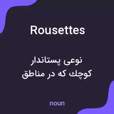 معنی rousettes به فارسی معنی rousettes به فارسی