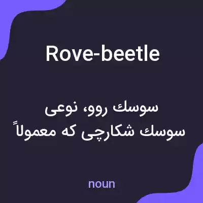معنی rove-beetle به فارسی معنی rove-beetle به فارسی