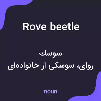 معنی rove beetle به فارسی معنی rove beetle به فارسی