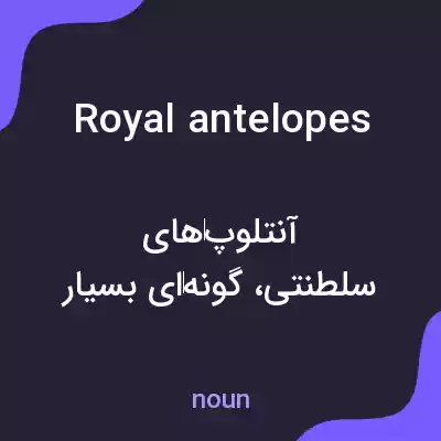 معنی royal antelopes به فارسی معنی royal antelopes به فارسی