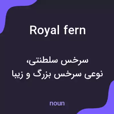 معنی royal fern به فارسی معنی royal fern به فارسی