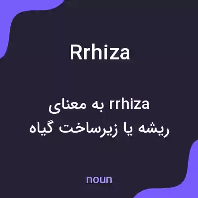 معنی rrhiza به فارسی معنی rrhiza به فارسی