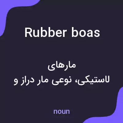 معنی rubber boas به فارسی معنی rubber boas به فارسی