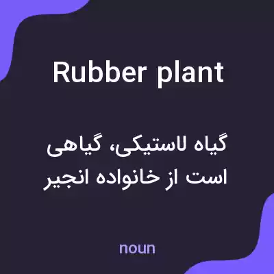 معنی rubber plant به فارسی معنی rubber plant به فارسی