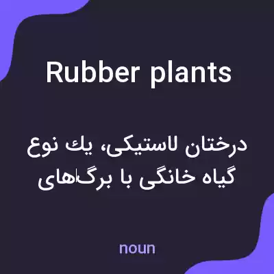 معنی rubber plants به فارسی معنی rubber plants به فارسی