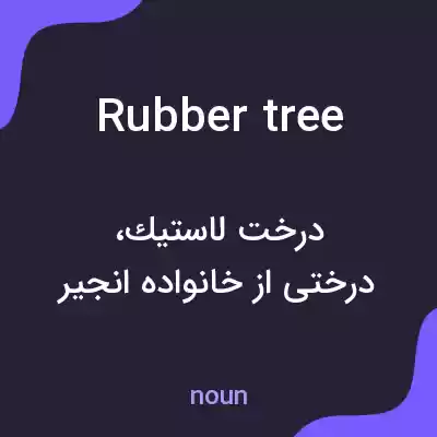 معنی rubber tree به فارسی معنی rubber tree به فارسی