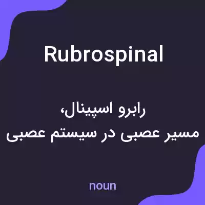 معنی rubrospinal به فارسی معنی rubrospinal به فارسی