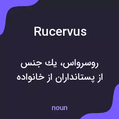 معنی rucervus به فارسی معنی rucervus به فارسی