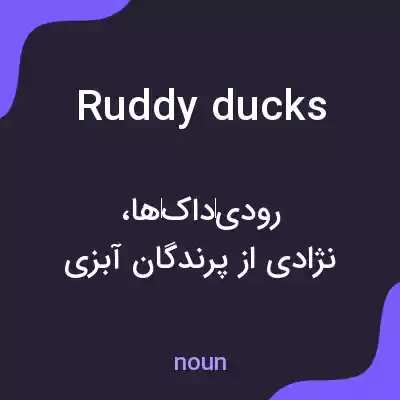 معنی ruddy ducks به فارسی معنی ruddy ducks به فارسی