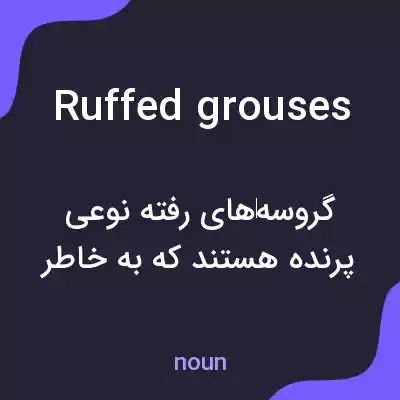 معنی ruffed grouses به فارسی معنی ruffed grouses به فارسی