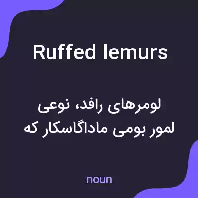 معنی ruffed lemurs به فارسی معنی ruffed lemurs به فارسی