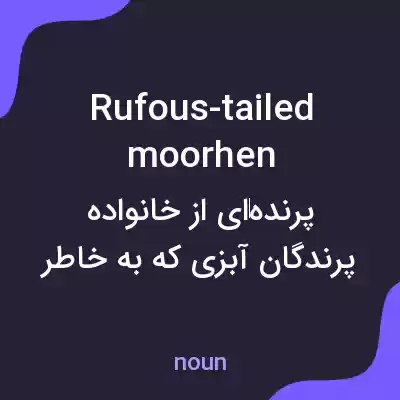 معنی rufous-tailed moorhen به فارسی معنی rufous-tailed moorhen به فارسی