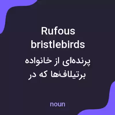 معنی rufous bristlebirds به فارسی معنی rufous bristlebirds به فارسی