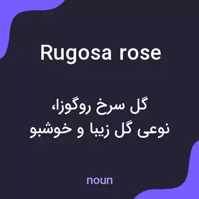 معنی rugosa rose به فارسی معنی rugosa rose به فارسی