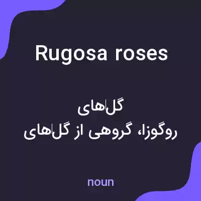 معنی rugosa roses به فارسی معنی rugosa roses به فارسی