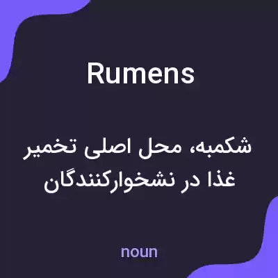 معنی rumens به فارسی