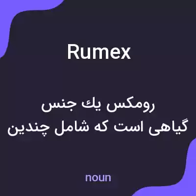 معنی rumex به فارسی معنی rumex به فارسی