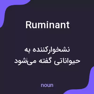 معنی ruminant به فارسی معنی ruminant به فارسی
