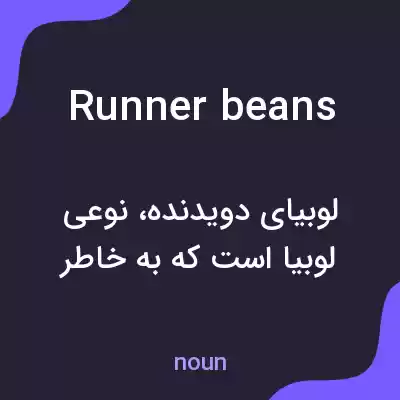 معنی runner beans به فارسی معنی runner beans به فارسی