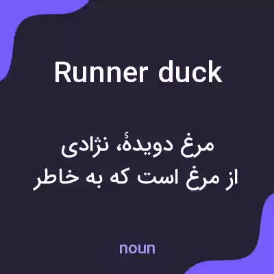 معنی runner duck به فارسی معنی runner duck به فارسی