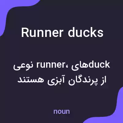 معنی runner ducks به فارسی معنی runner ducks به فارسی
