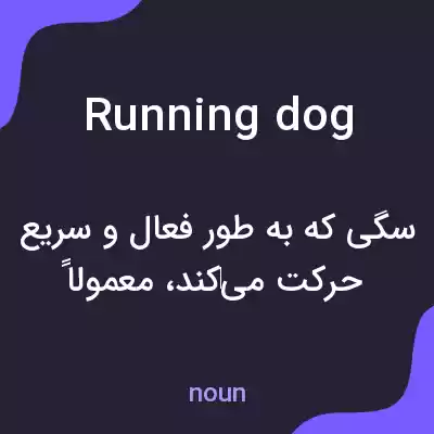 معنی running dog به فارسی
