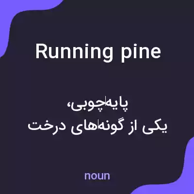 معنی running pine به فارسی معنی running pine به فارسی