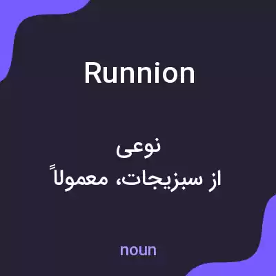معنی runnion به فارسی معنی runnion به فارسی