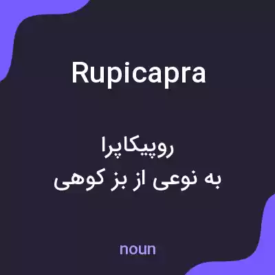 معنی rupicapra به فارسی معنی rupicapra به فارسی