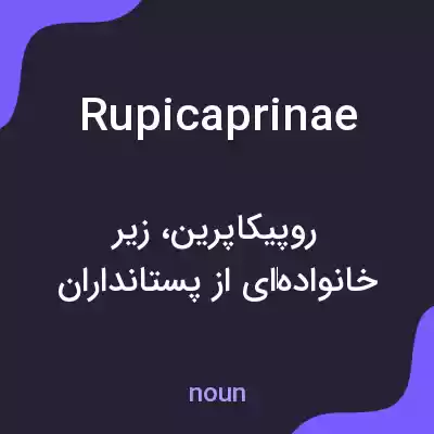 معنی rupicaprinae به فارسی معنی rupicaprinae به فارسی