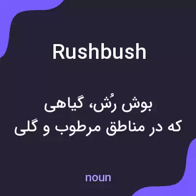 معنی rushbush به فارسی معنی rushbush به فارسی