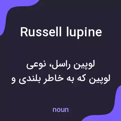 معنی russell lupine به فارسی